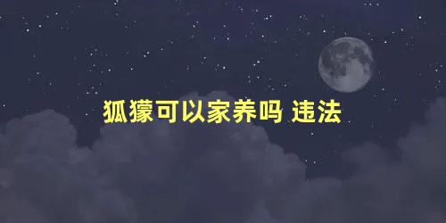 狐獴可以家养吗 违法